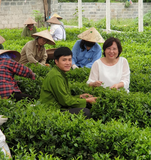 https://www.hatuyentea.com/Resource/Blogs/Thumbnails/8/94/cu-nhan-bo-pho-ve-que-uop-tra-94.png